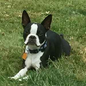 Meet your Posher, Tracey